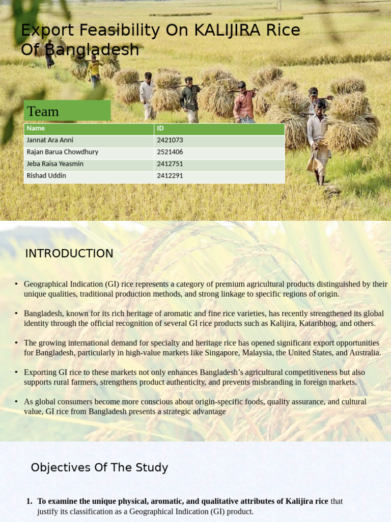 Export Potential of Kalijira Rice in Bangladesh | PDF | Exports | Rice