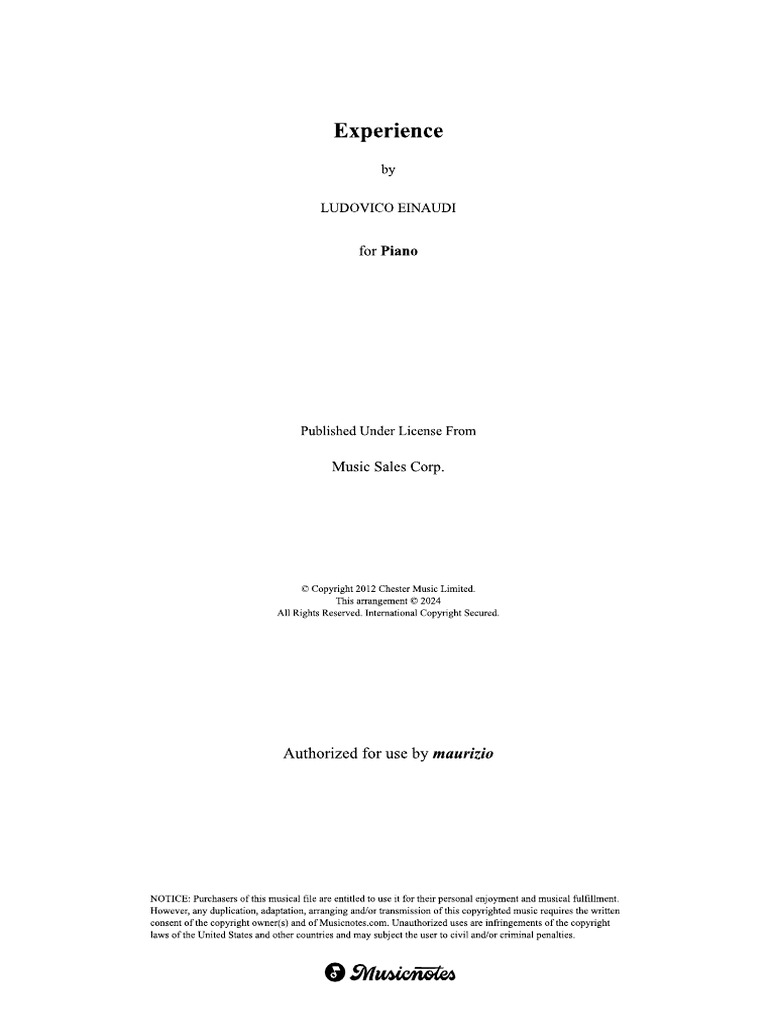 Experience | PDF