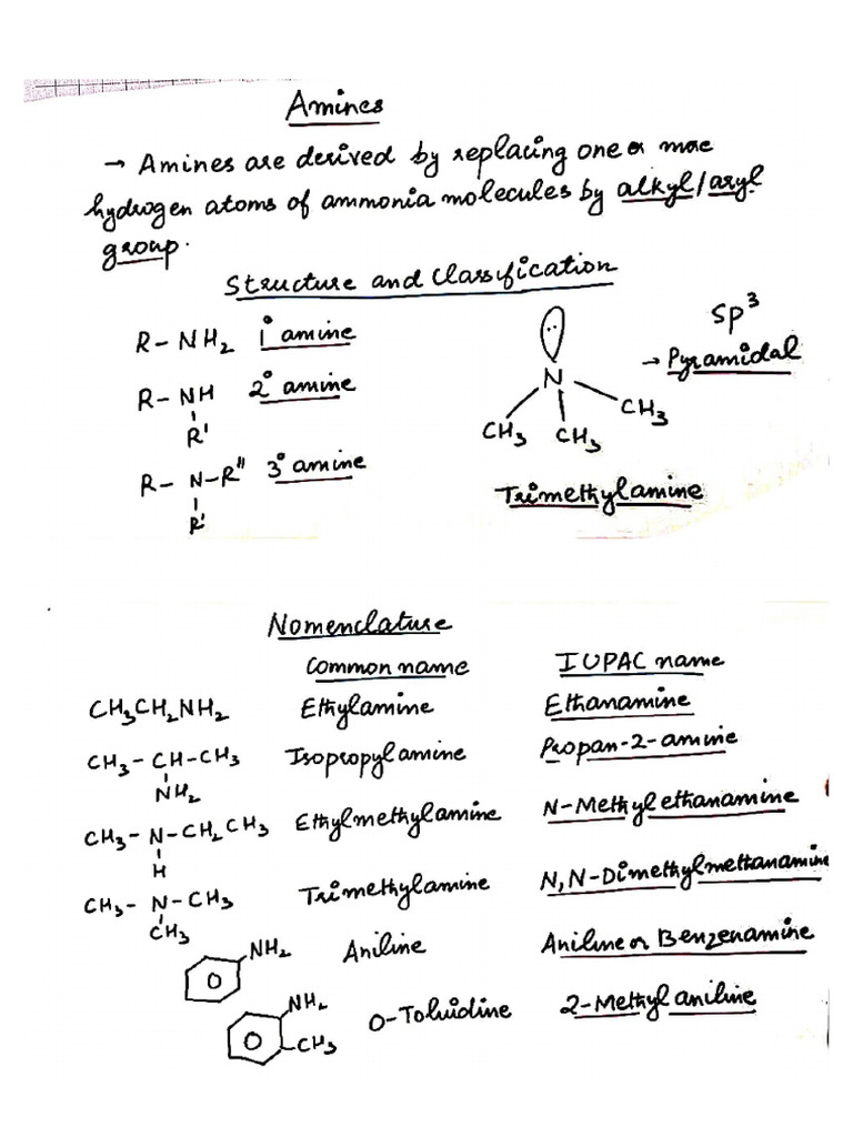 Amines Short Notes | PDF