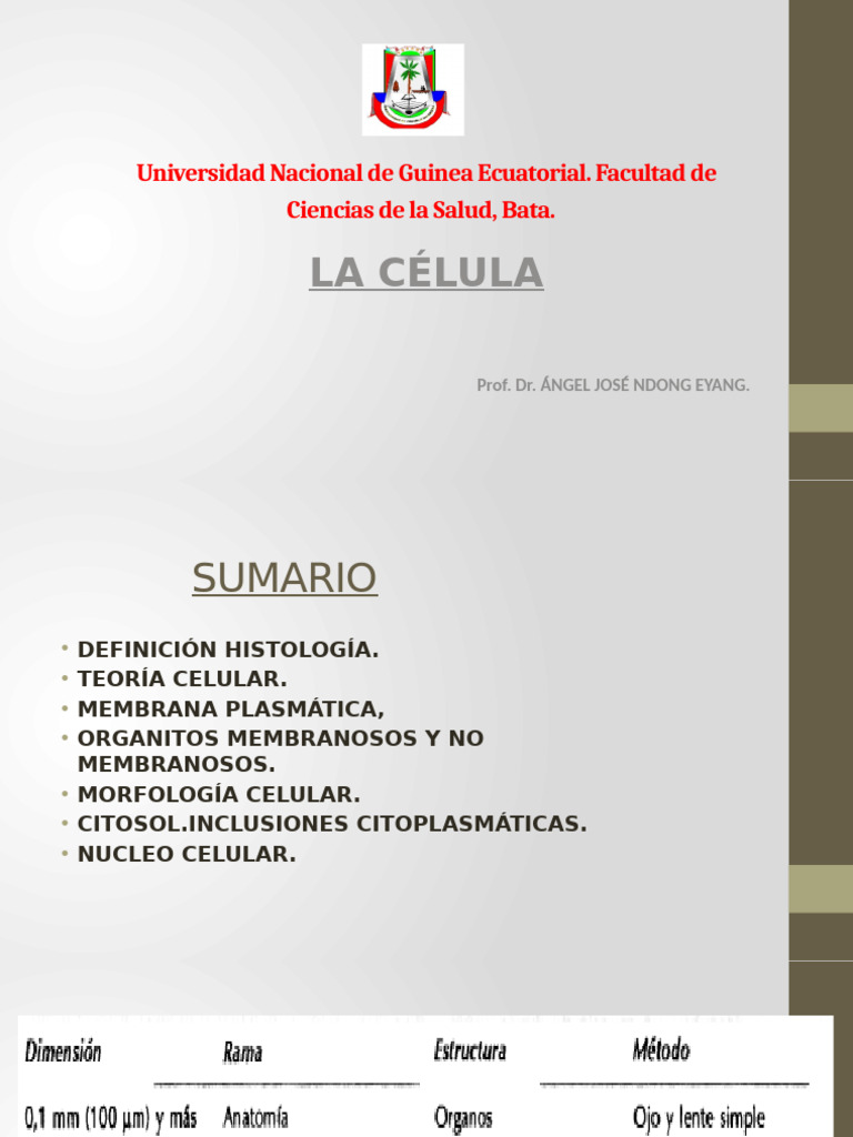 Estructura y Función de la Célula | PDF | Citoplasma | Nucleo celular