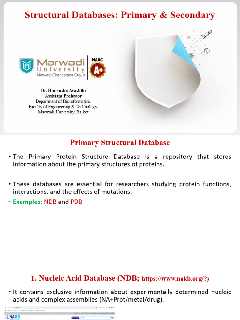 Primary & Secondary Structural Databases | PDF | Protein Structure ...