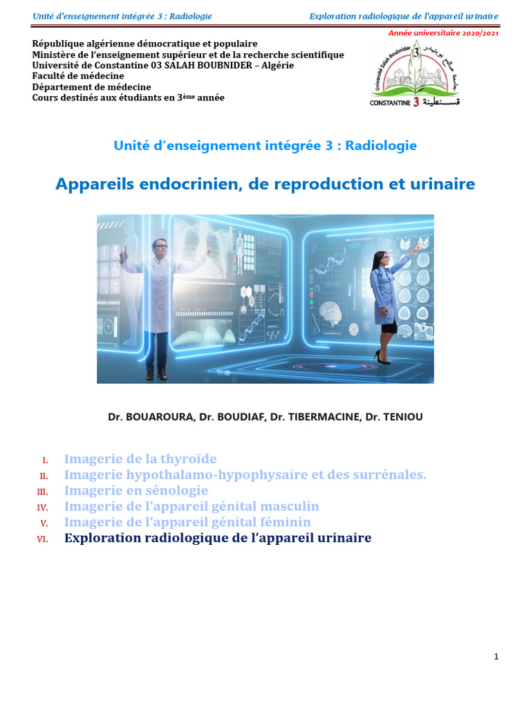 Exploration radiologique appareil urinaire | PDF | Rein | Hypertension ...