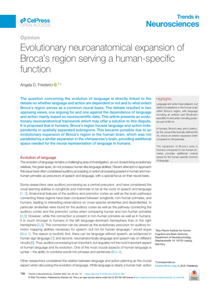 Broca's Region: Evolution of Language | PDF | Syntax | Cerebral Cortex