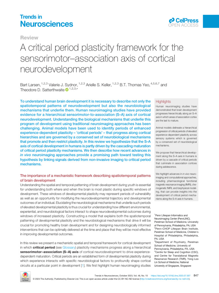 Critical Periods in Cortical Development | PDF | Neuroplasticity ...