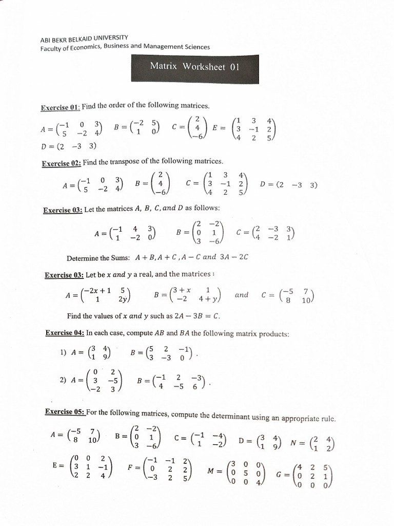Matrix Worksheet 1 | PDF