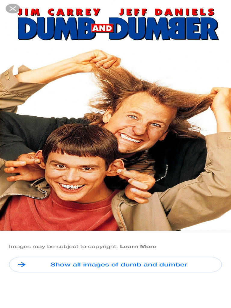 Dumb and Dumber Film Overview | PDF