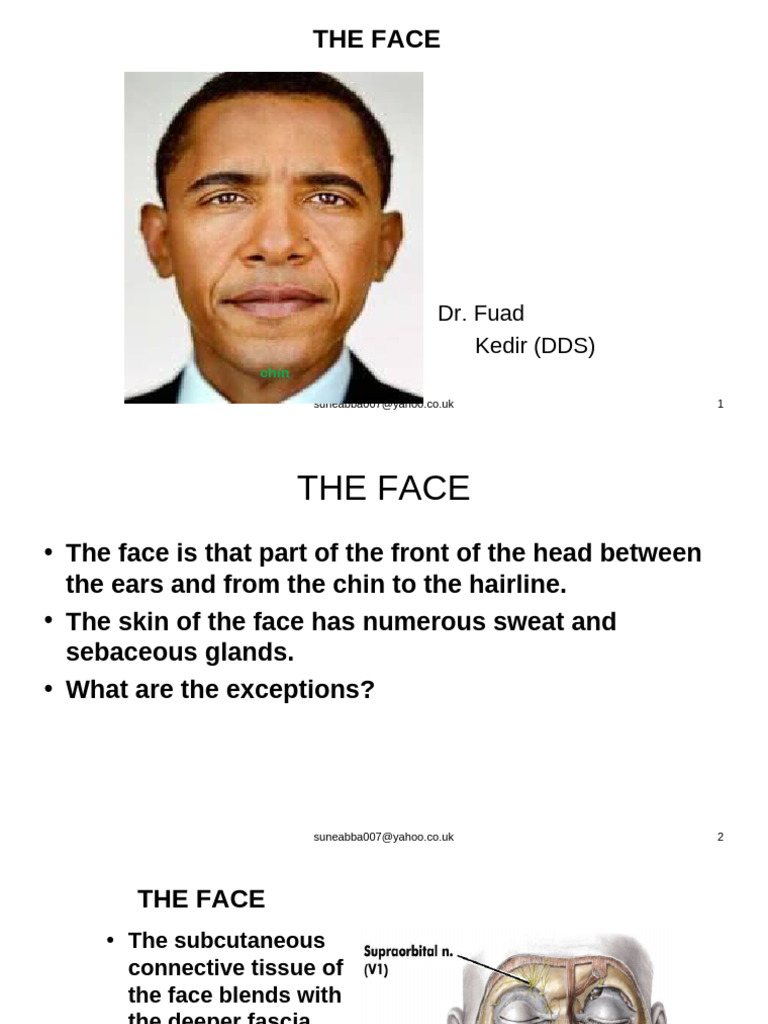 1.THE FACE | PDF | Human Nose | Primate Anatomy