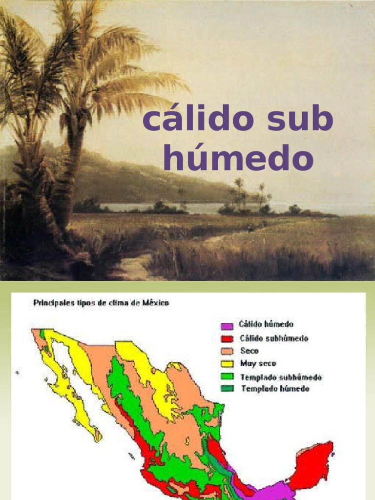 Clima calido sub húmedo