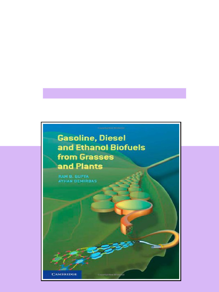 Or Type in Your Web Browser | PDF | Biofuel | Biodiesel