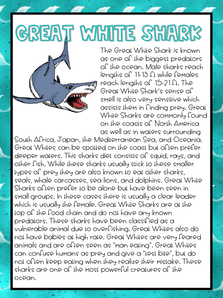 Types of Sharks: Facts & Habitat | PDF | Sharks | Great White Shark