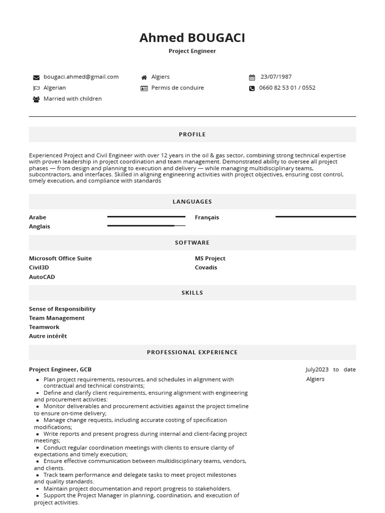 Project Engineer Profile and Experience | PDF | Business