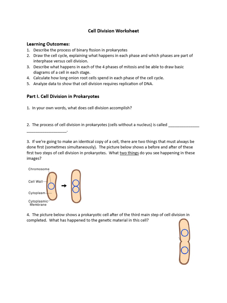 Cell Division Processes and Analysis Worksheet | PDF | Mitosis | Cell ...