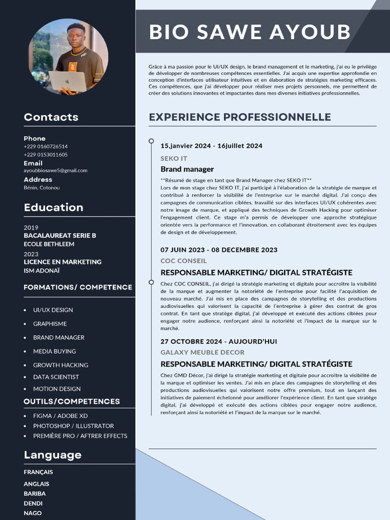 Ayoub Bio Sawe CV - 2 | PDF