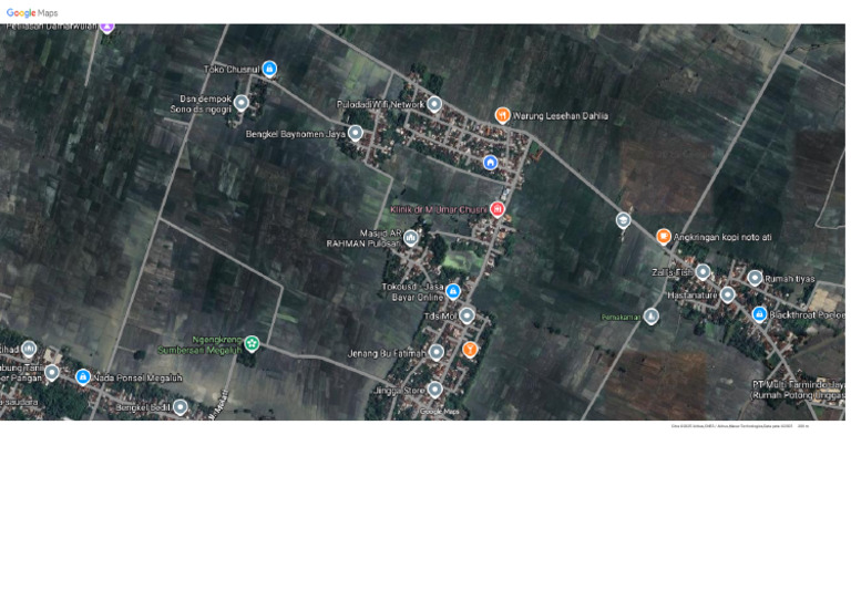 Google Maps | PDF