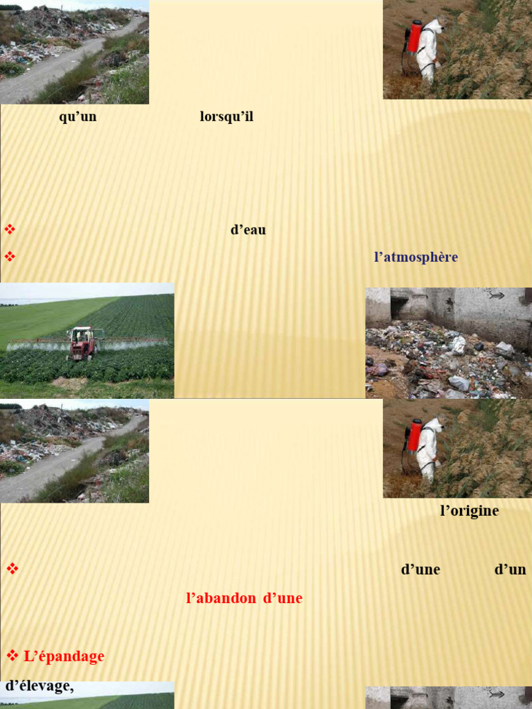 Pollution du sol : causes et solutions | PDF | Compost | Déchet ménager