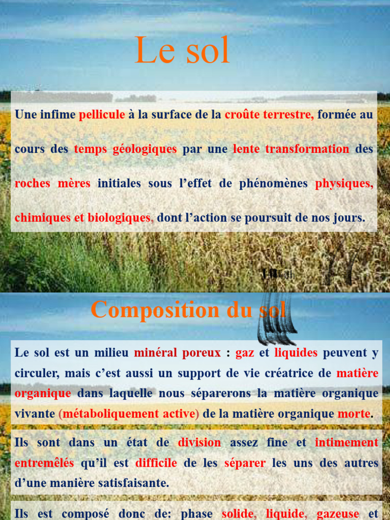 Composition et propriétés du sol | PDF | Sol (pédologie) | Porosité