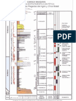 Estratigrafia Cuenca Neuquina