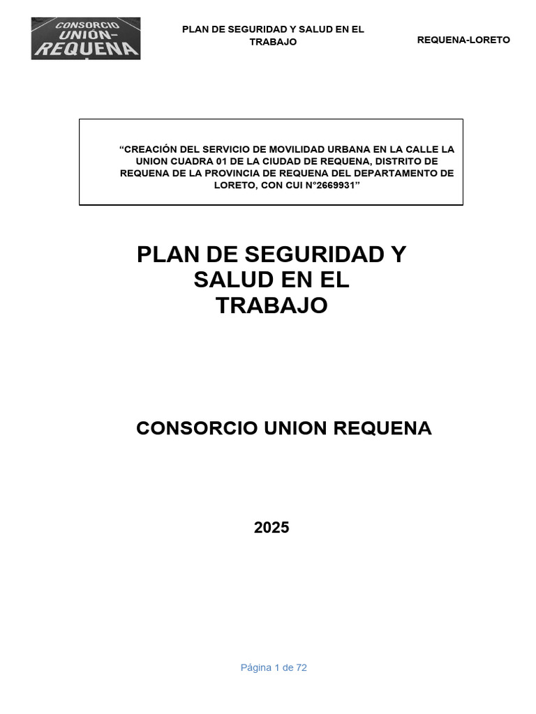 Plan de Seguridad y Salud Laboral 2025 | PDF | Seguridad y salud ...
