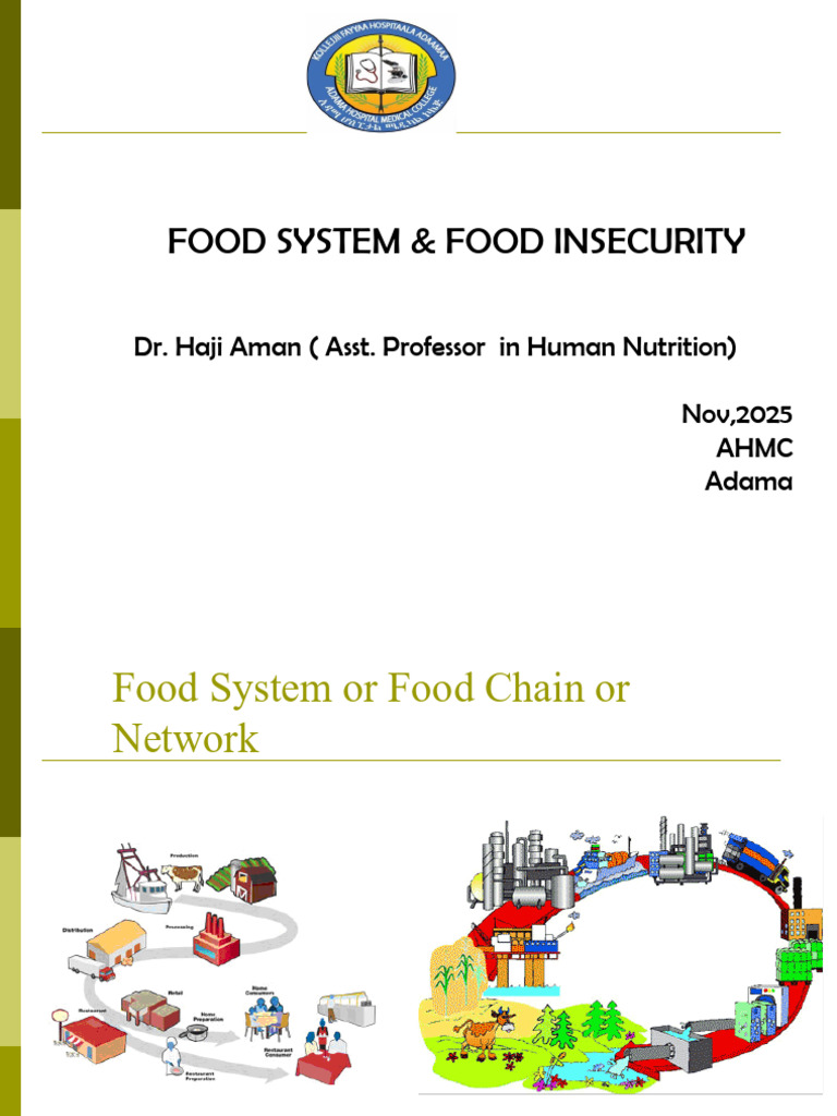 Understanding Food Systems & Insecurity | PDF | Food Security | Famine
