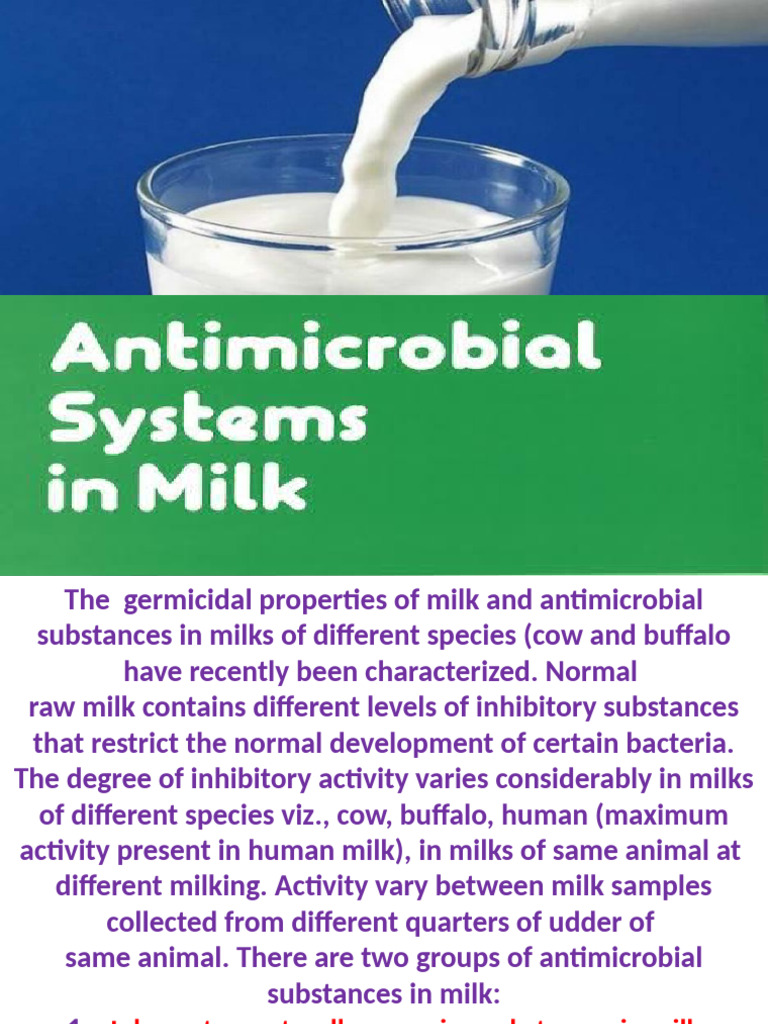 Antimicrobial Properties of Milk Explained | PDF | Milk | Bacteria