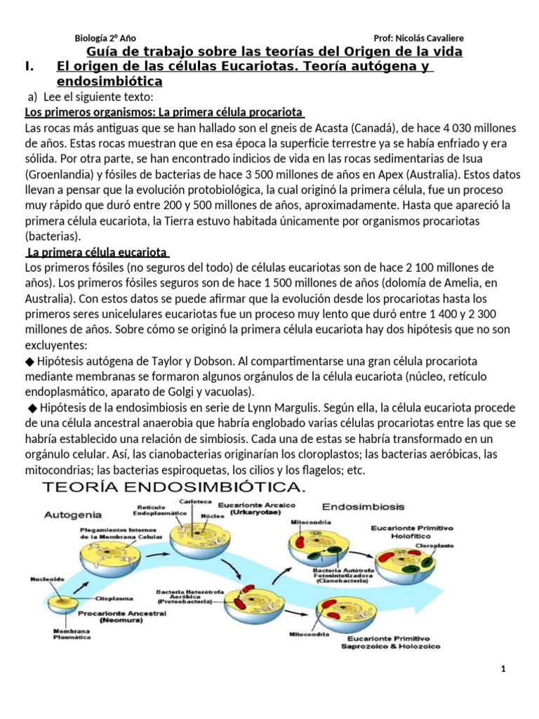 Teorías del Origen de la Vida en Biología | PDF | Biología Celular ...