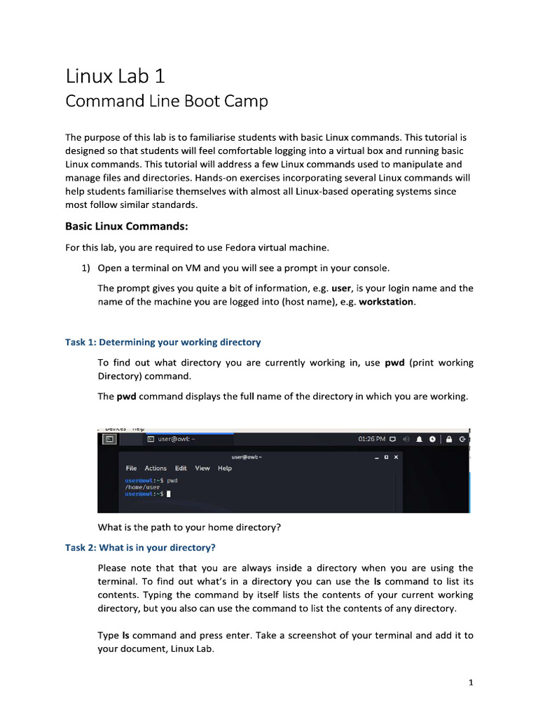 Linux Lab 1 | PDF