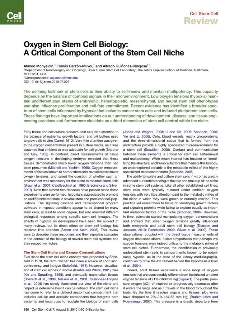 Oxygen in Stem Cell | PDF | Hematopoietic Stem Cell | Stem Cell