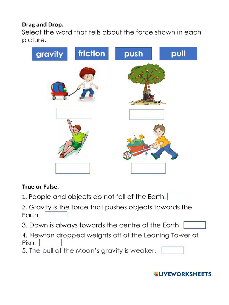 Worksheet 1717950 | PDF