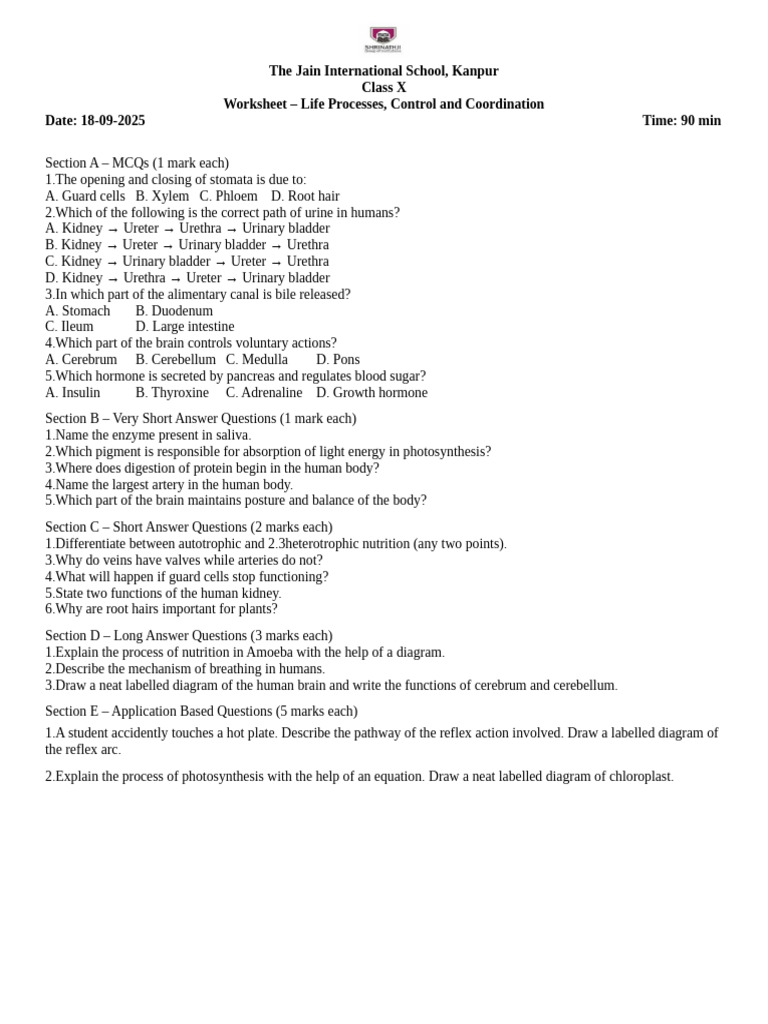 Class X Life Processes Worksheet | PDF