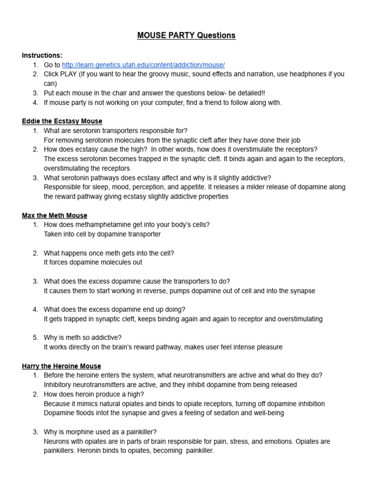 Mouse Party Questions | PDF | Neurotransmitter | Dopamine
