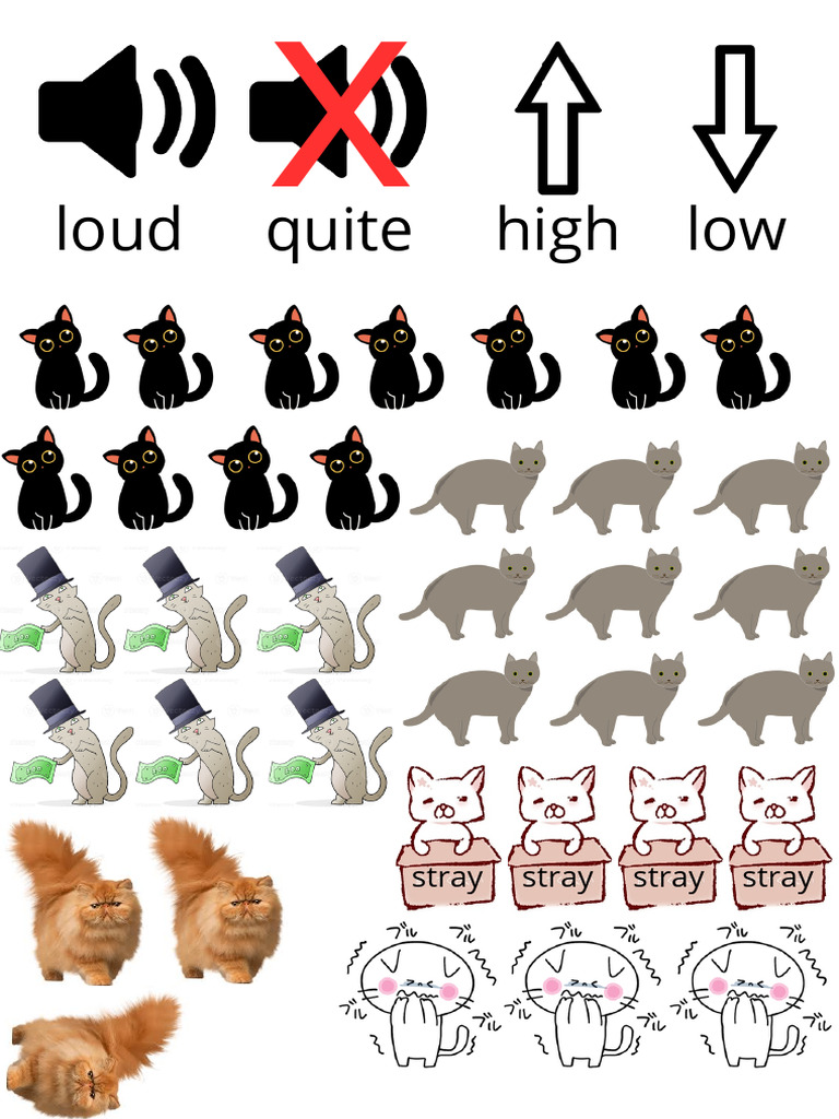 Cat Descriptions and Activities | PDF