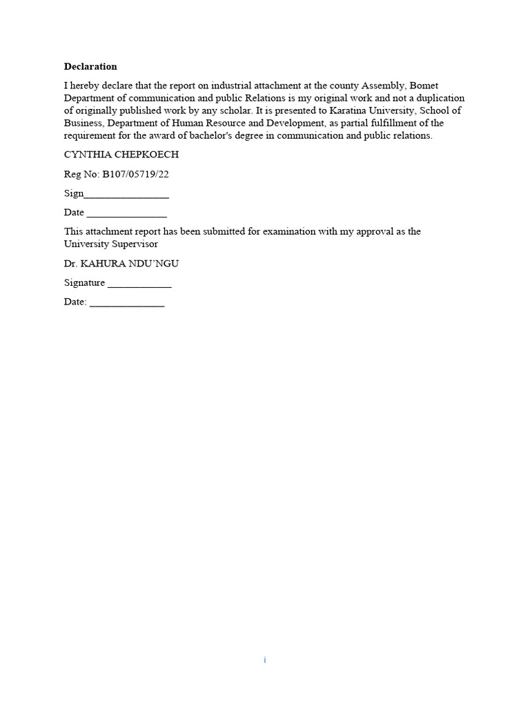 Cynthia Terer Report-B | PDF