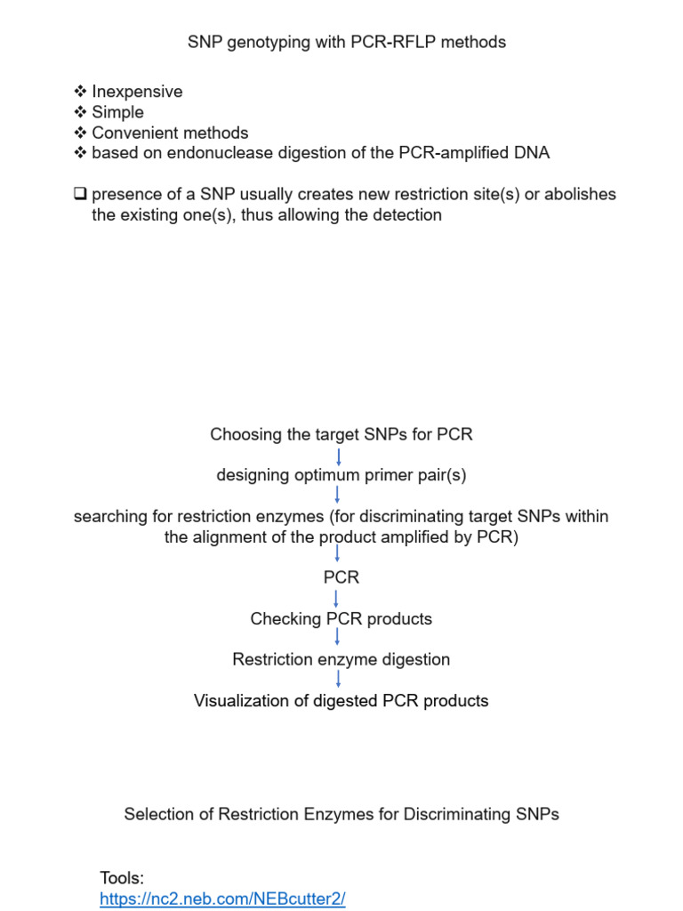 SNP Genotyping via PCR-RFLP Methods | PDF | Life Sciences | Biochemistry