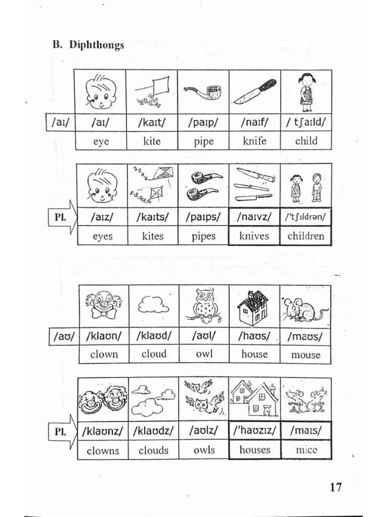 17 | PDF