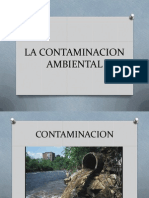 La Contaminacion (1)