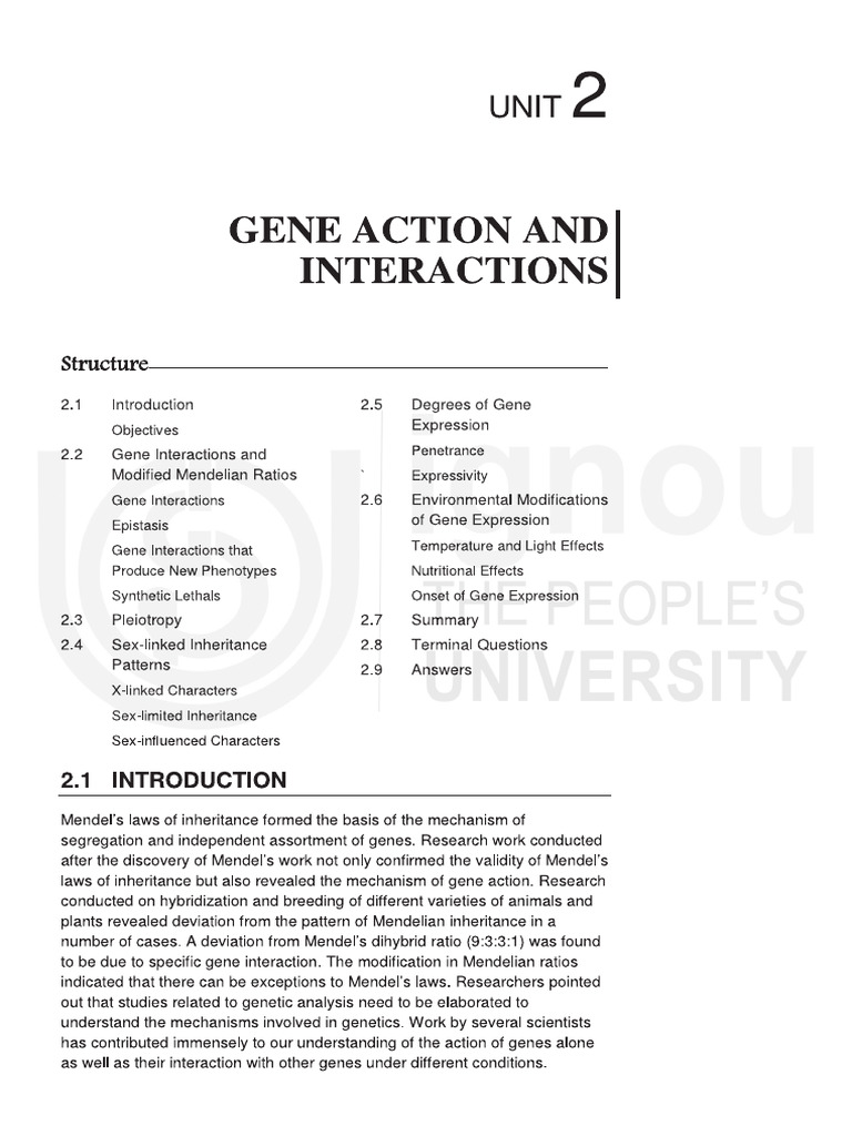 Unit 2 | PDF