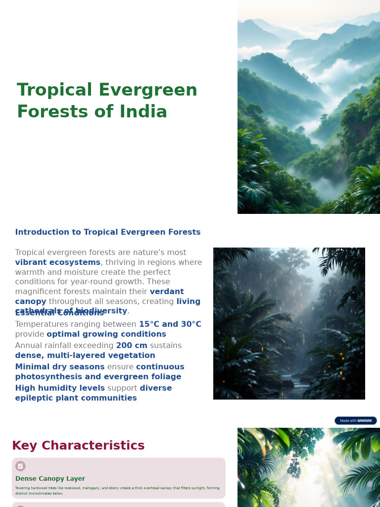 Tropical Evergreen Forests in India | PDF | Forests | Canopy (Biology)