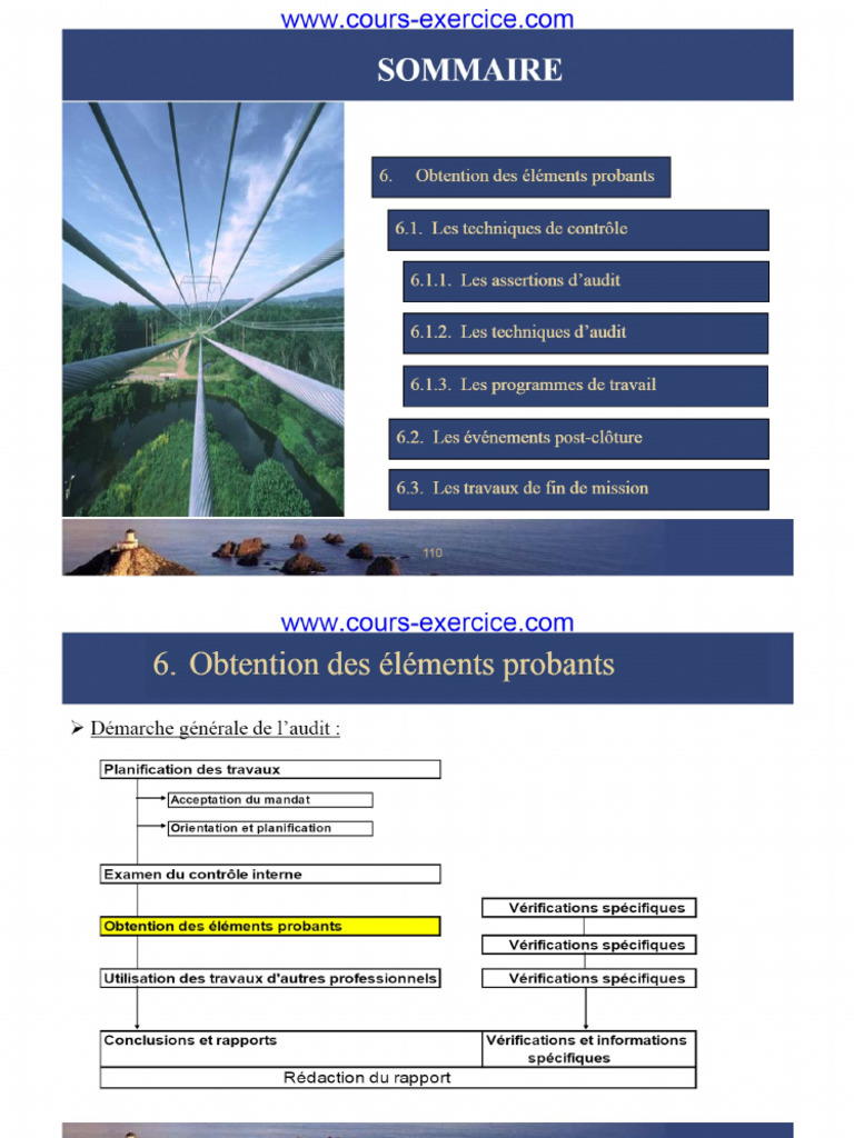 Obtention Des Éléments Probants | PDF
