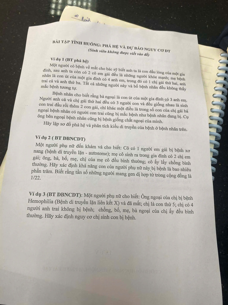 1 | PDF