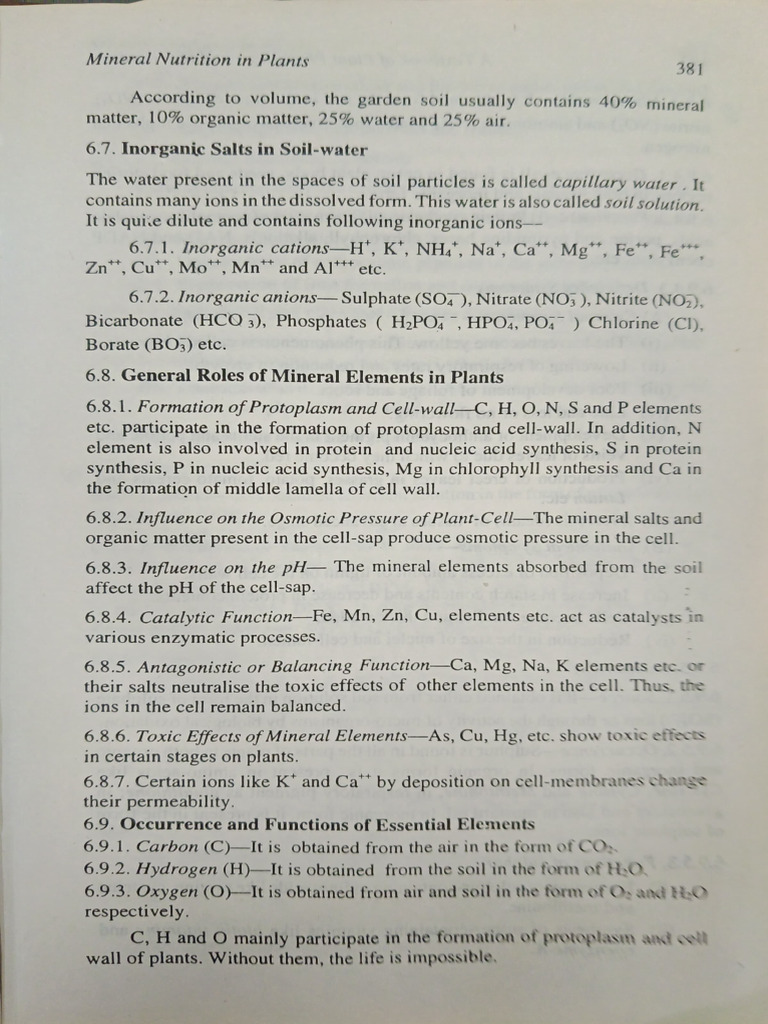 Mineral Nutrition Notes (S.K Verma) | PDF | Leaf | Soil