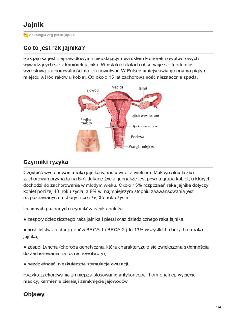 Rak Jajnika | PDF