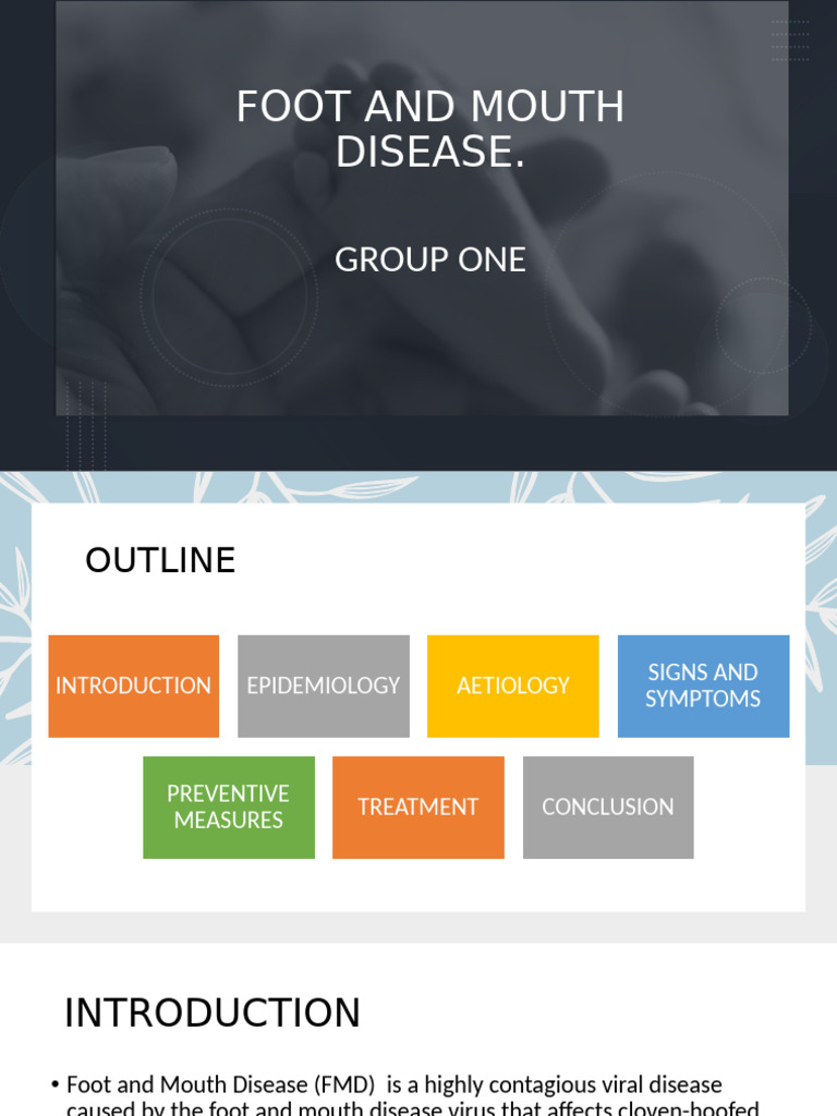 Understanding Foot and Mouth Disease | PDF | Medicine | Diseases And ...