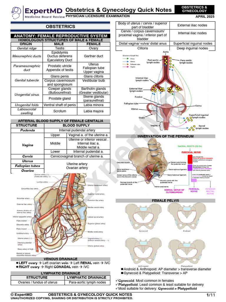 OB-GYN Quick Notes for Exam Prep | PDF | Childbirth | Vagina