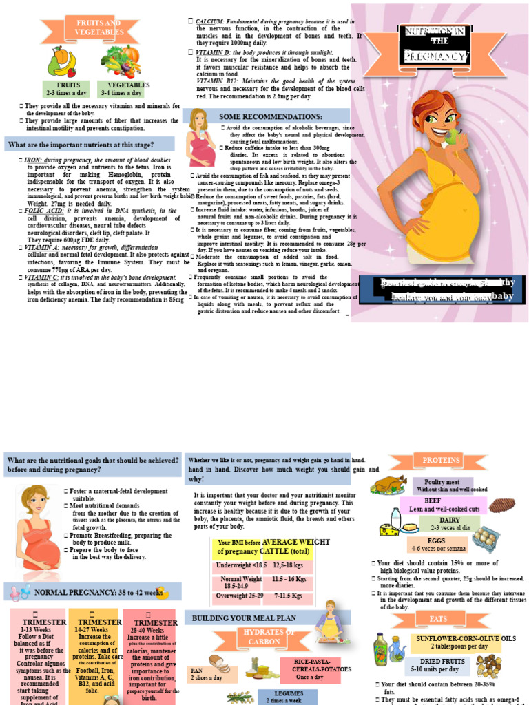 Essential Nutrients for Healthy Pregnancy | PDF | Pregnancy | Nutrition
