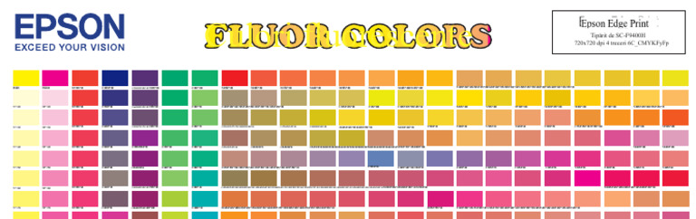 EPSON Grafic de Culori Fluorescente Rev.A | PDF