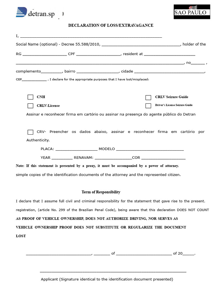 Declaration of Lost Vehicle Documents | PDF