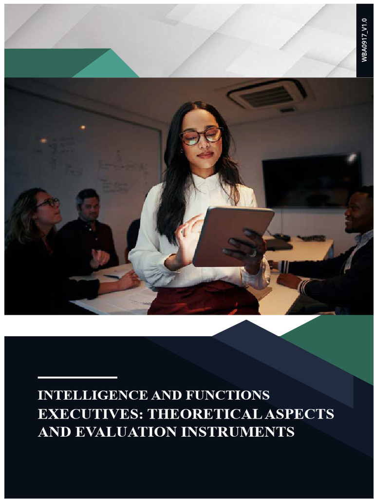 Executives: Theoretical Aspects and Evaluation Instruments | PDF ...