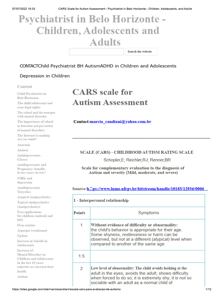 CARS Autism Assessment in Belo Horizonte | PDF | Mental Disorder ...