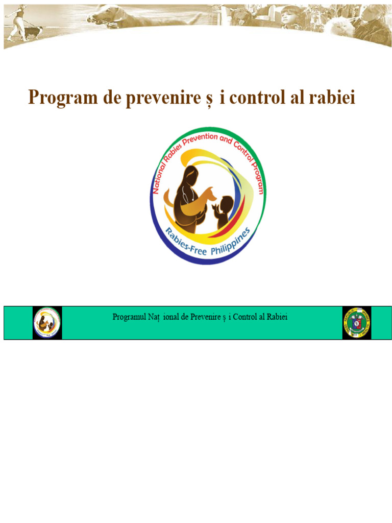 PREZENTARE FINALĂ A Rabiei | PDF