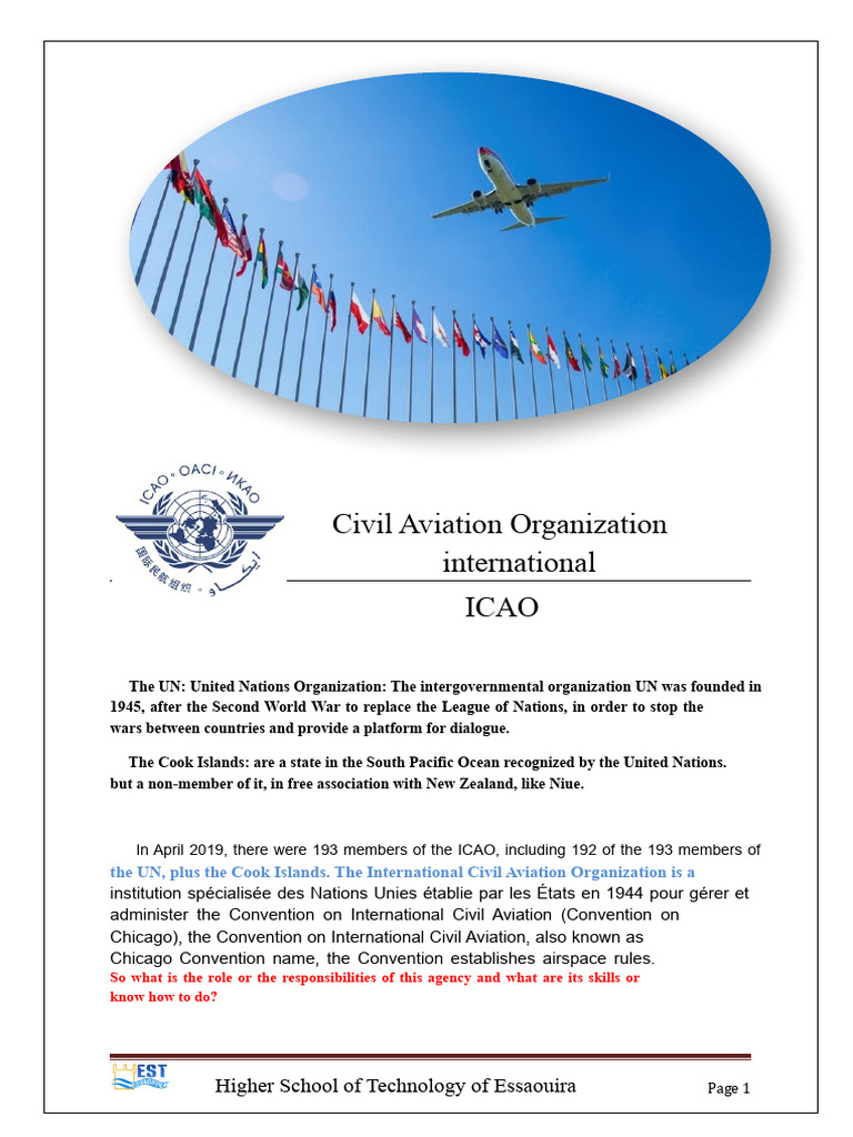 ICAO: Role and Functions in Aviation | PDF